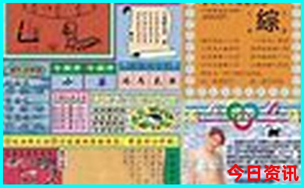 戴羽彤个人资料